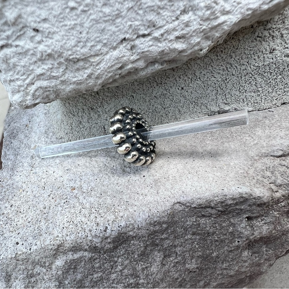 Retired Trollbeads Sterling Silver Charm